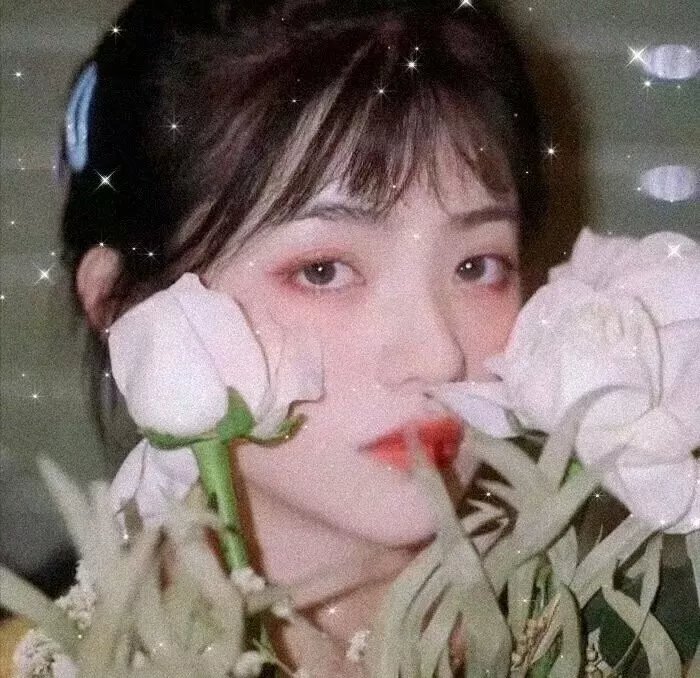 演员 安妮·